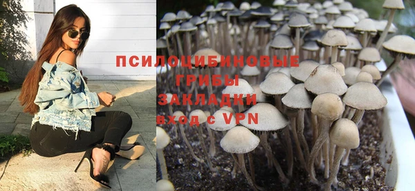 бошки Козловка